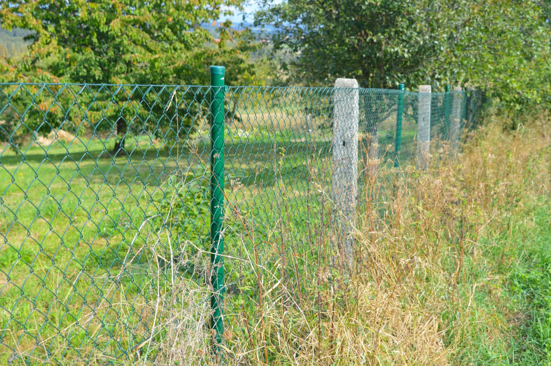 zelené čtyřhranné pletivo poplastované